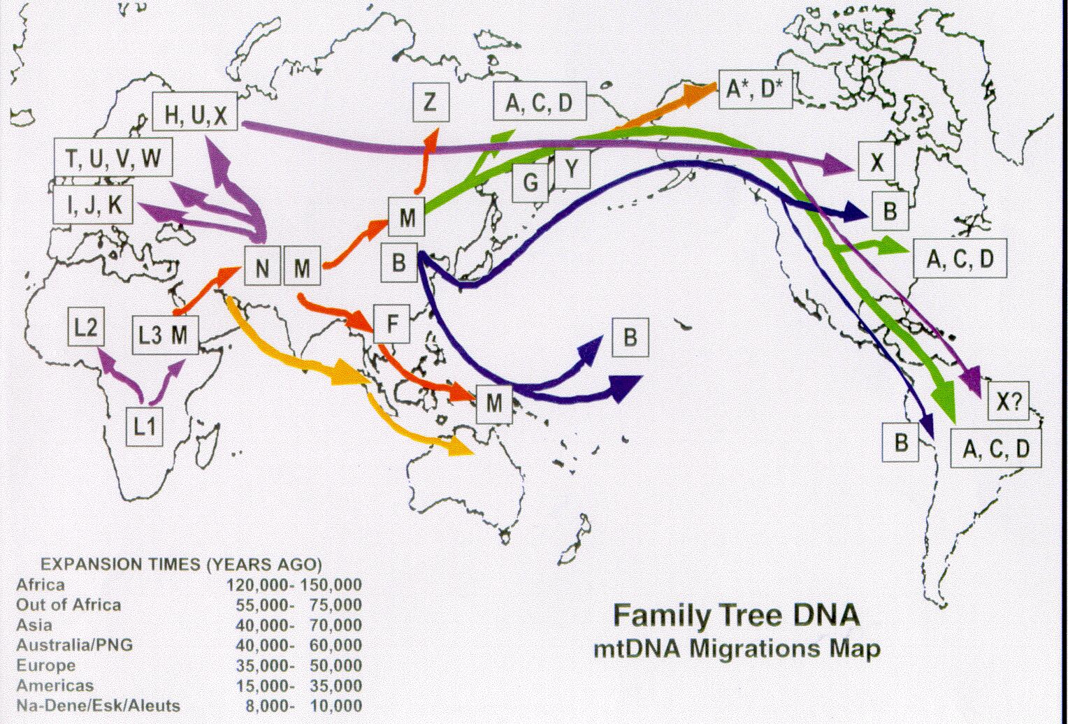 haplogroup map